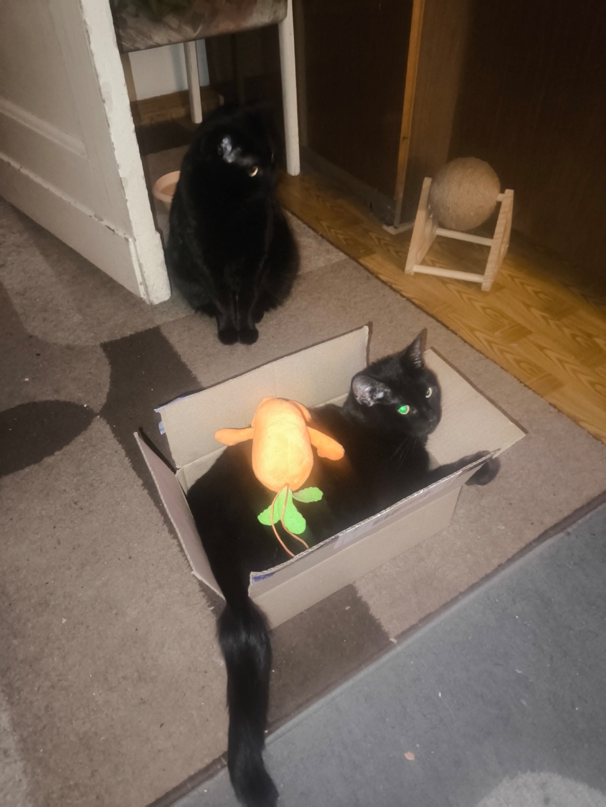 6f107c85-1311-4fca-bd8c-0ac90ea72bcb