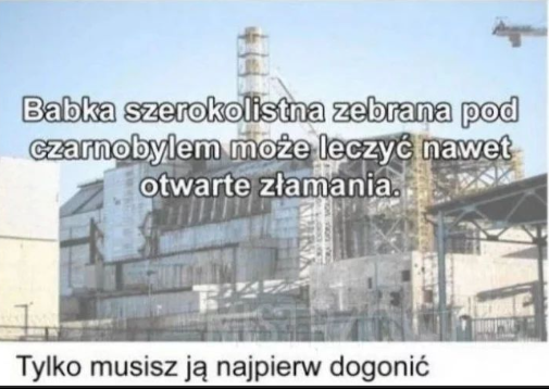 76a07c9b-d692-4db1-861b-44df81ea4747