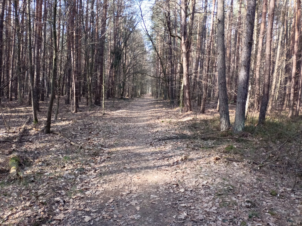 9c9d15d1-543d-48f3-b15d-c04452b7e485