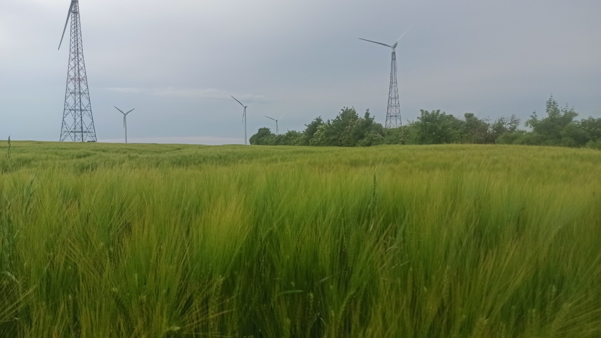 0d5c7385-52ef-4e52-b12a-1a31b3284b5e