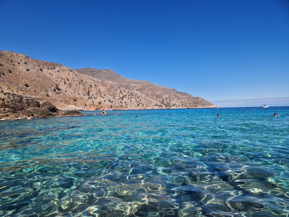 7d975481-1d7e-4987-ae08-91b2bb3d0290