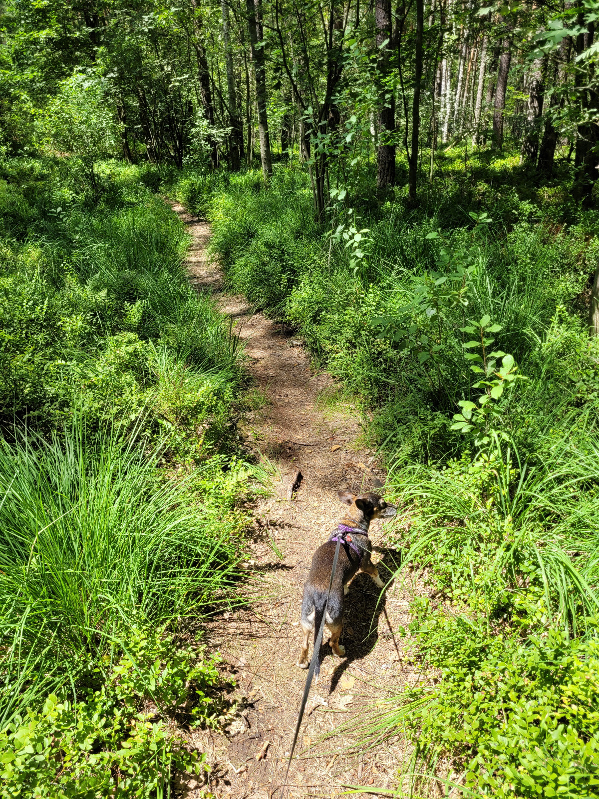 c6b8c4d3-e6fc-4161-9634-b7d0dffef0c6