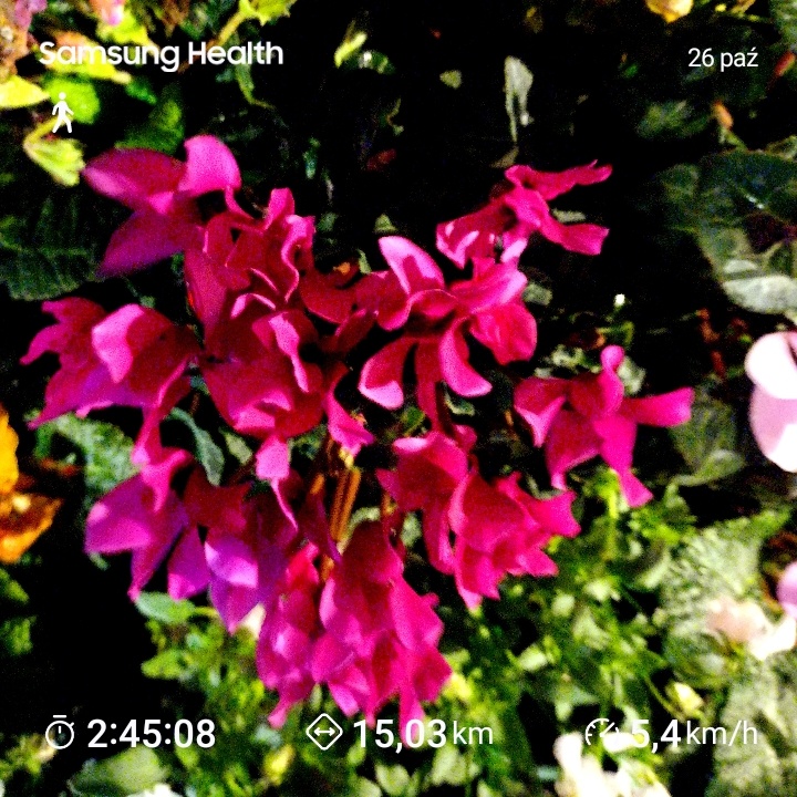 ce58bf92-5f4a-4f0e-9f74-e3ebb19ebaae