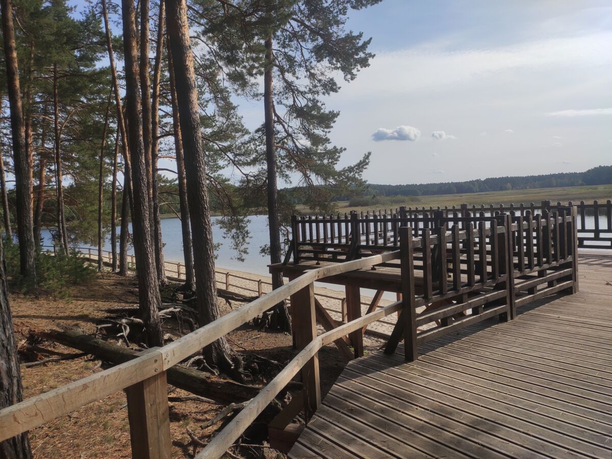 0482b456-2baa-42ed-9230-b8775f207c4e