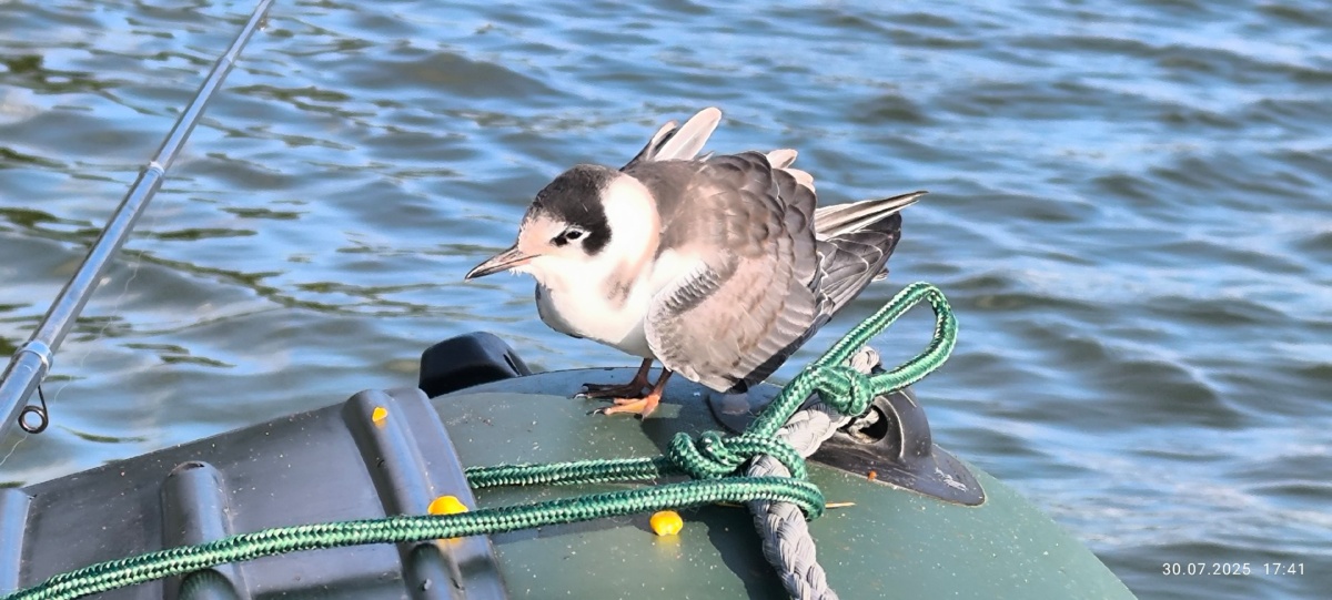 cf4349e8-61c1-4ae0-b2c9-9259847ed977