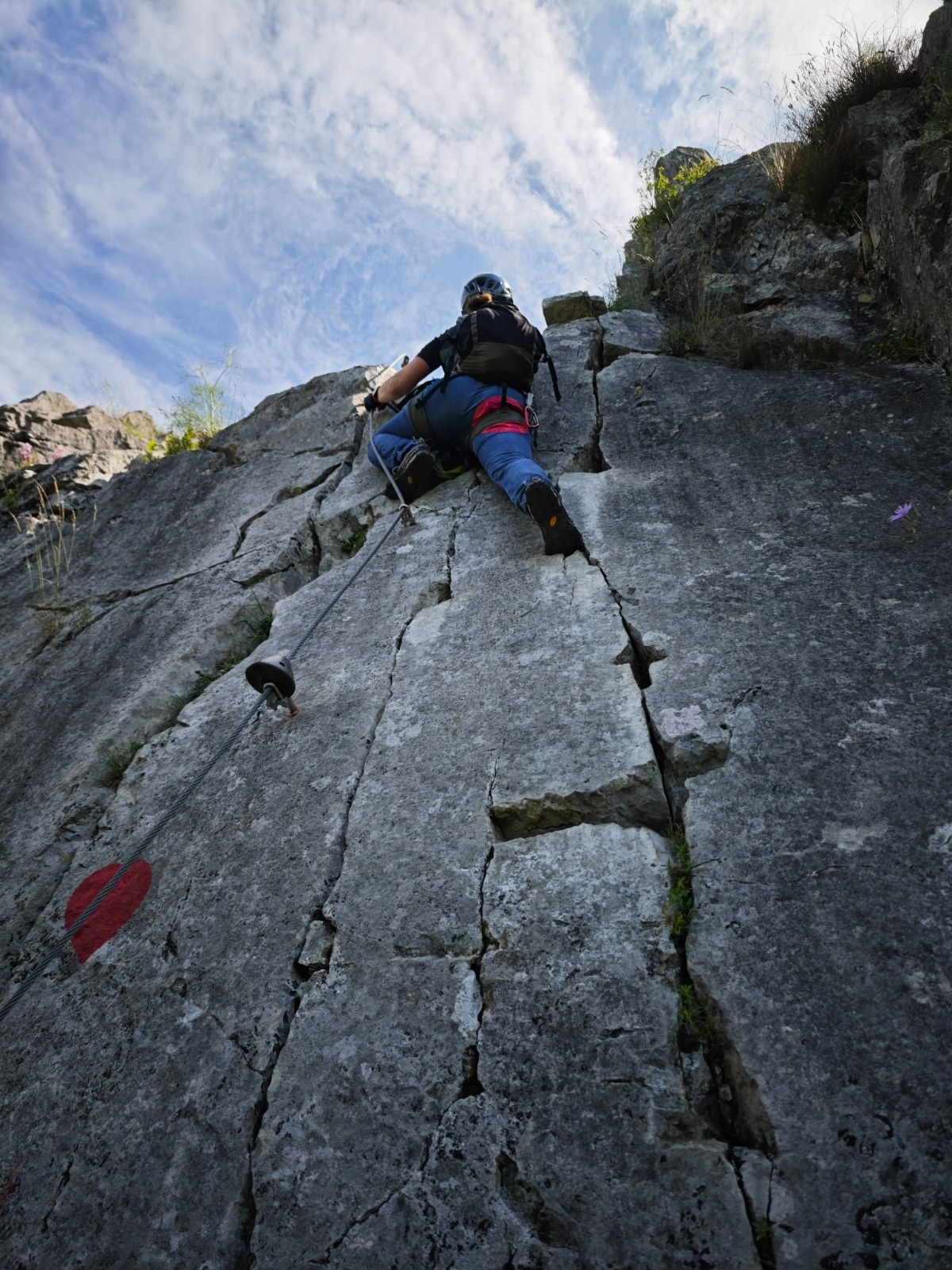 b2d3a2f5-a924-4add-a812-1ed727f754f4