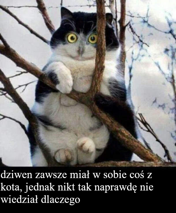 8de550bf-4ba3-43f6-9ffe-a6b238eecd30