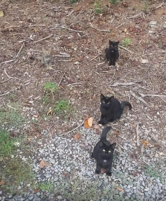 ed9cd34e-5b47-49d1-92ca-46a826687ee3