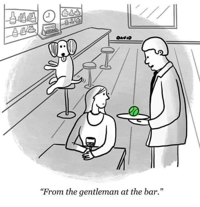 061c9510-48e3-4d0c-9775-534673114014