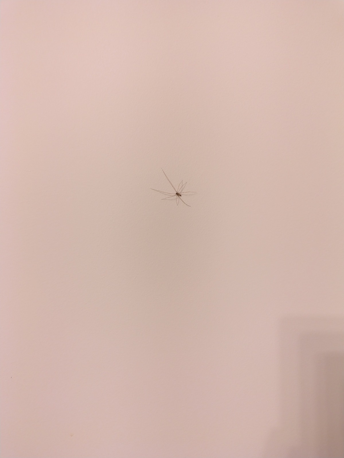 abe7b830-11ee-4c96-ac8e-6c13a14f994d