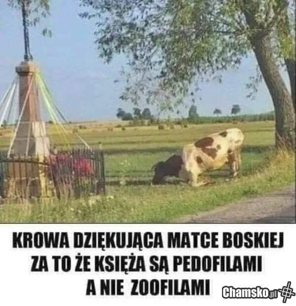 3edcd3fe-2ba8-4456-9b43-e0cbb4d6fe32