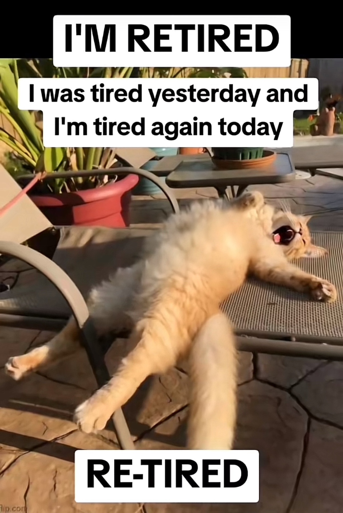 aa9fe6ab-f1bb-4c2e-8b72-aa0cab7e9de2