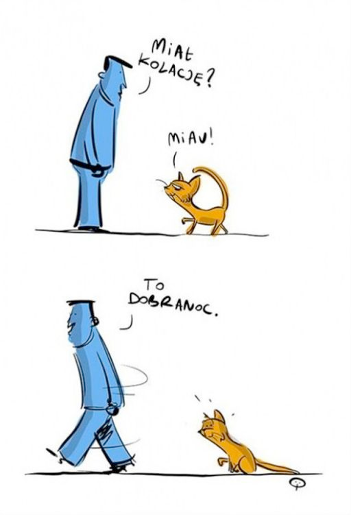 e80886d8-49db-4158-93c1-d0fd92232d60