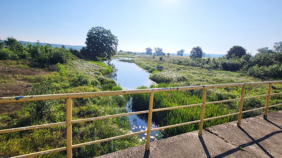 53242297-13b4-4e78-9706-8d27defb1167