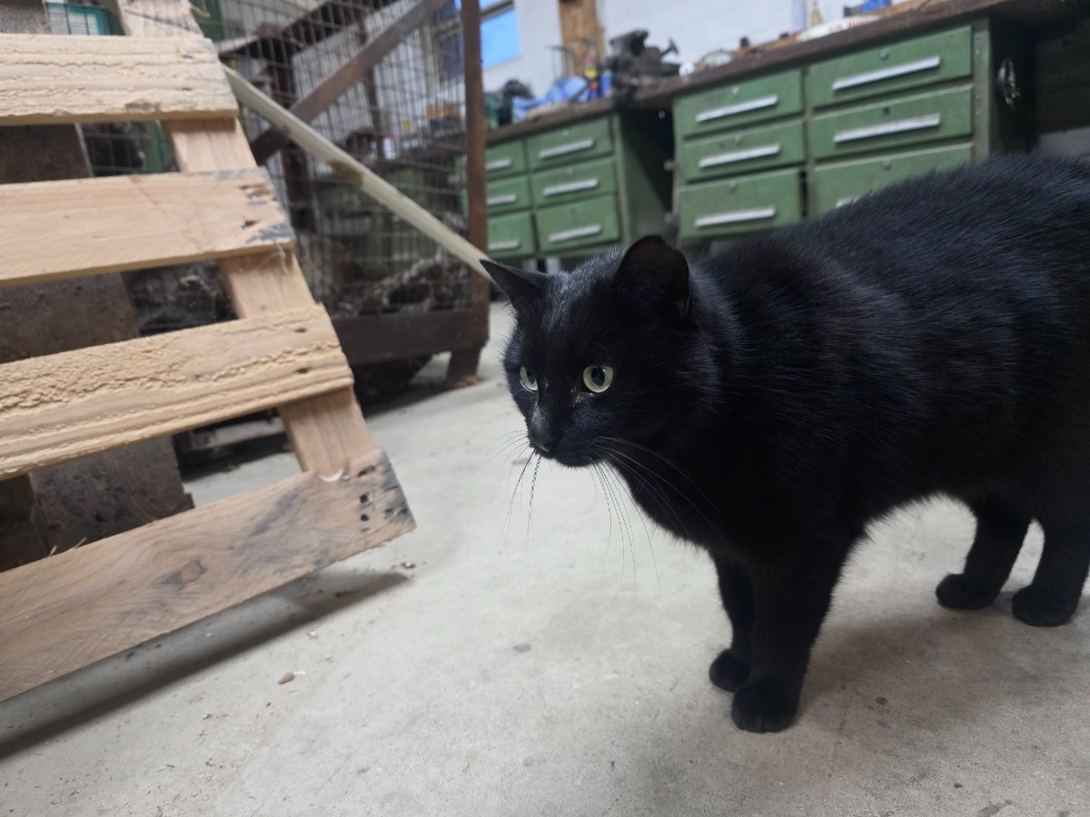 ade41c25-d726-4102-a657-ca8698e3ee07