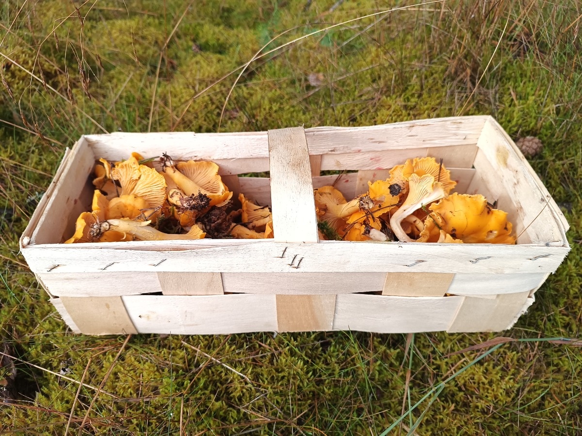 1b9837b8-211e-469e-8ce4-757ea6c8e13d