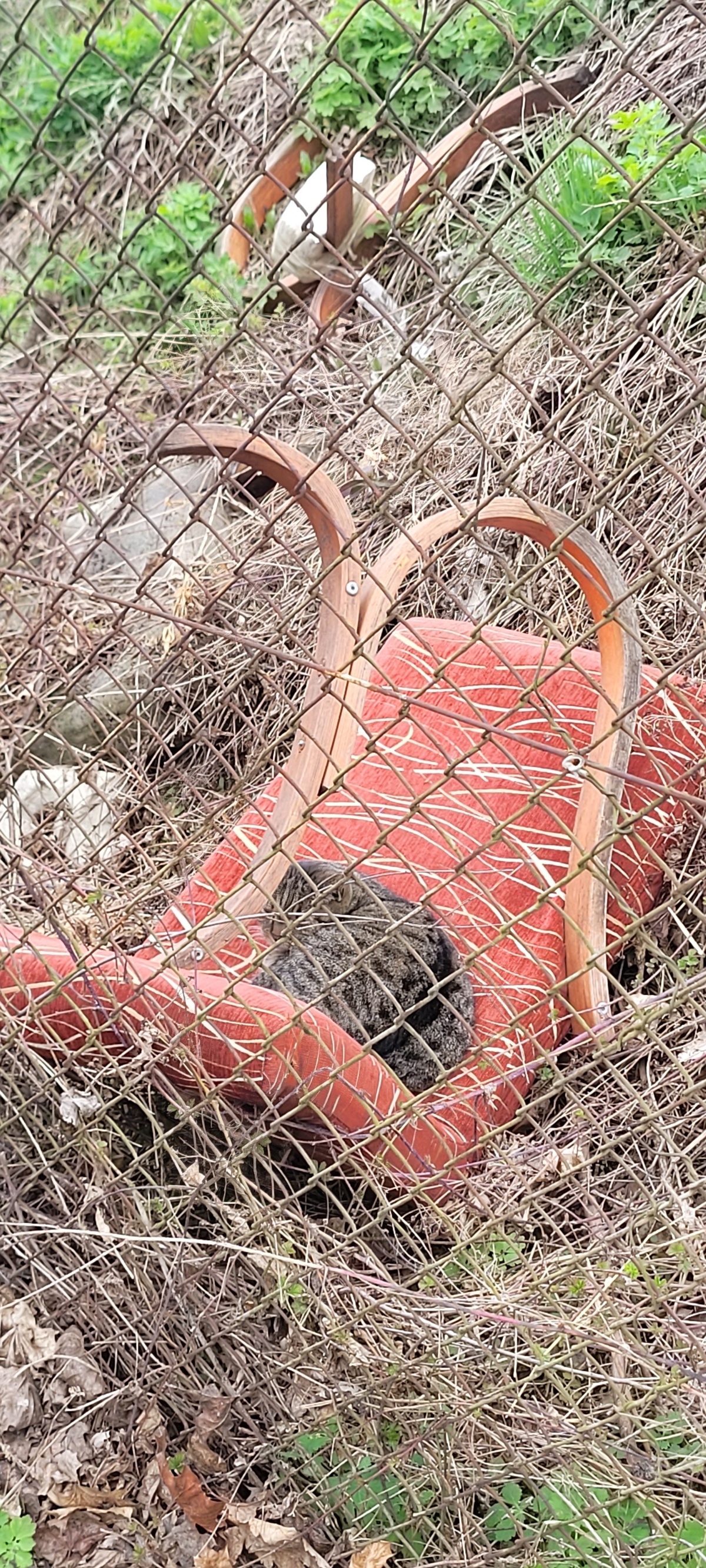 2408caa4-61f0-427a-85ed-cade7291b238