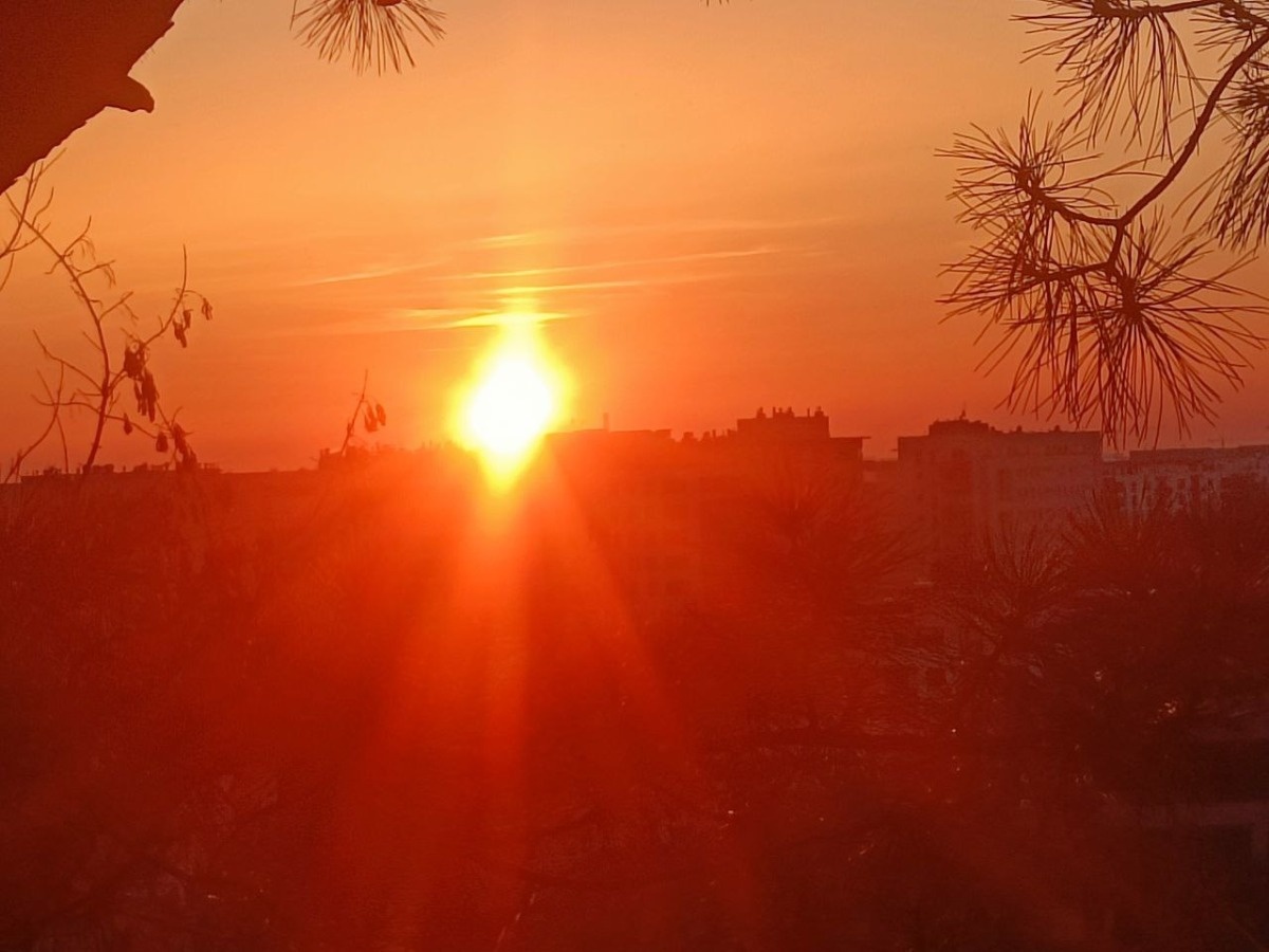 825395b9-5fd2-4a9f-9666-3a2570420058