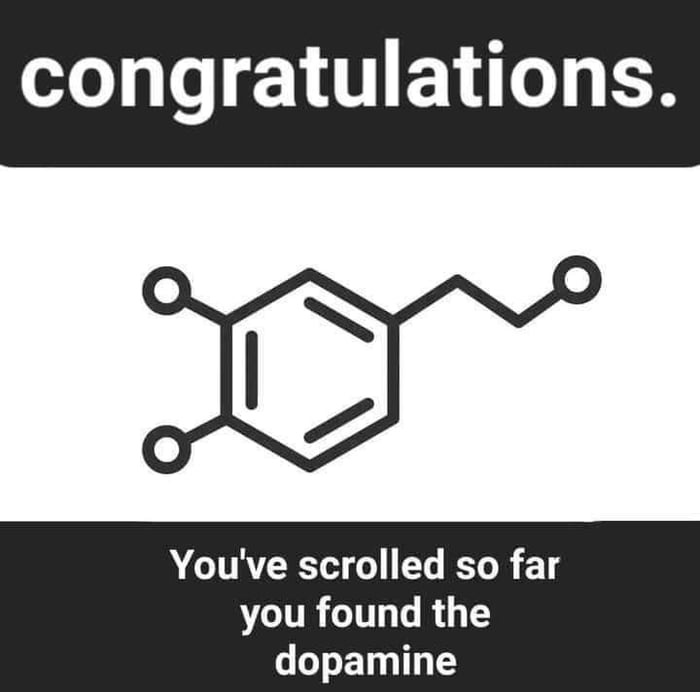 401a6f53-5c0b-4895-a01c-d669263d21b4