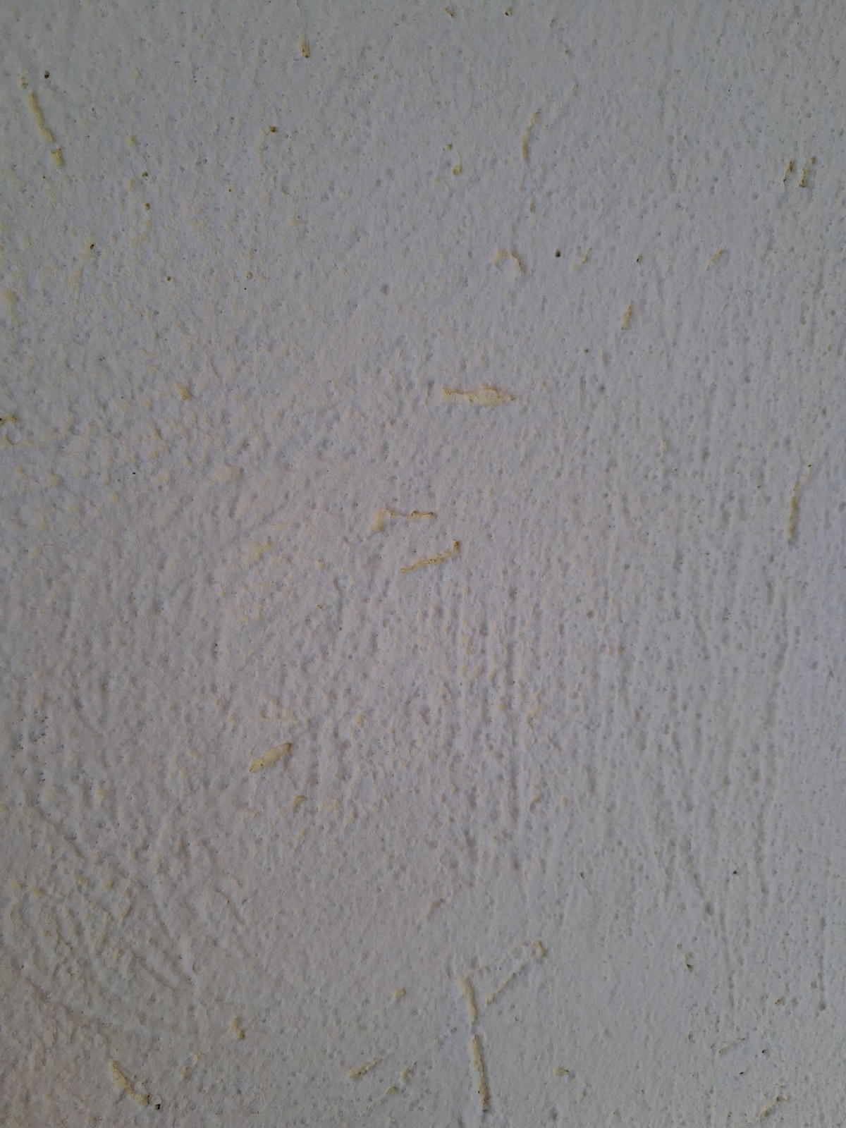 a0a26c17-0864-44fa-842f-451d181879cd