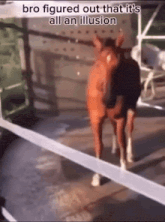 d3ebfc31-d26c-426b-9ed8-bb68ba547486