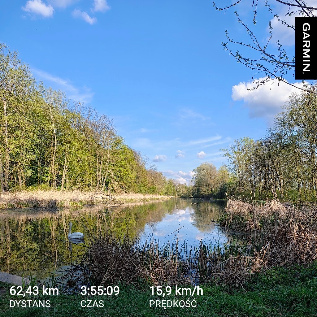 9b99b595-0196-4a99-88ec-7e751e88d6c5