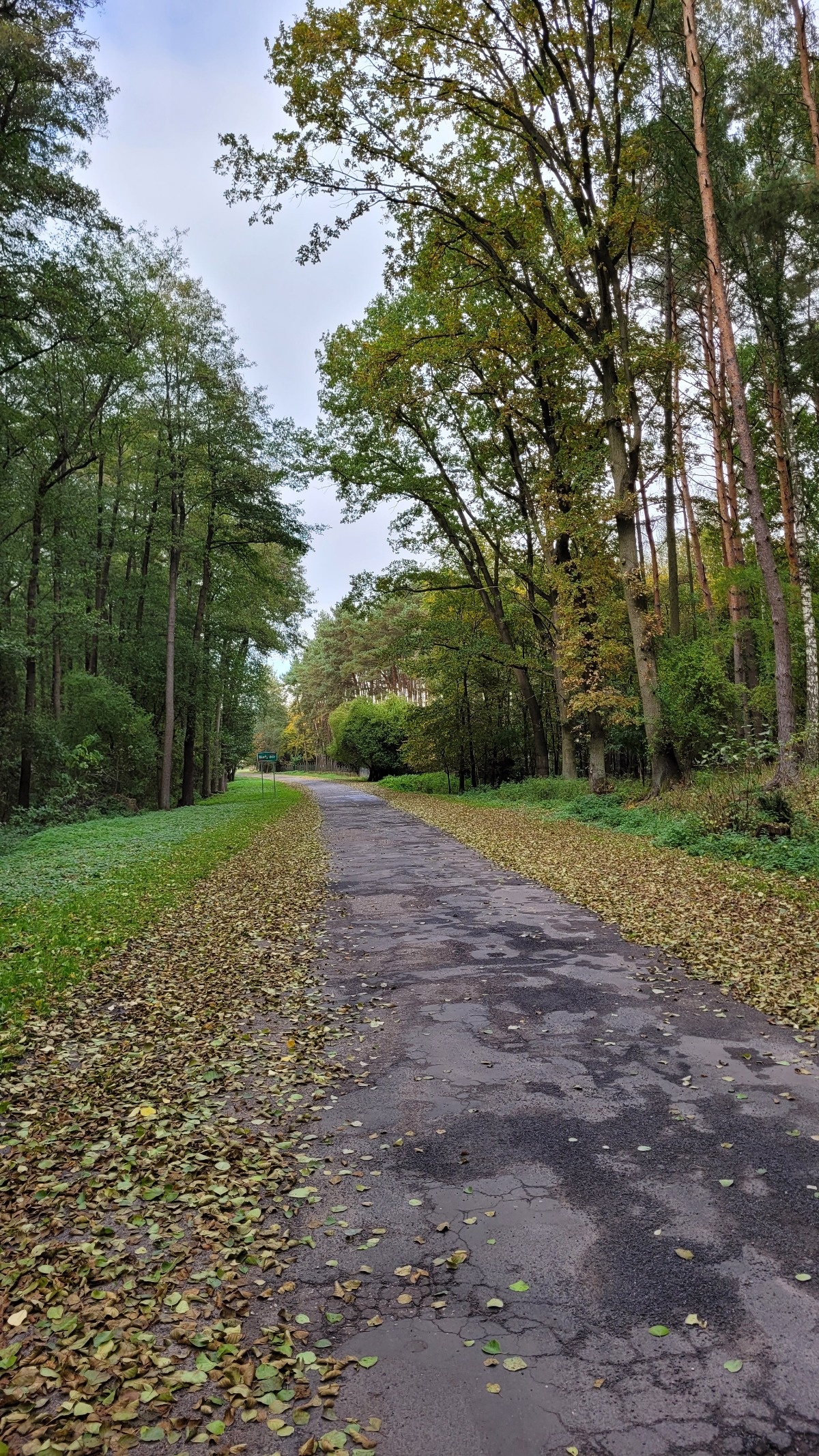 911f8d65-5693-4a95-b4b7-c25ebd534c98