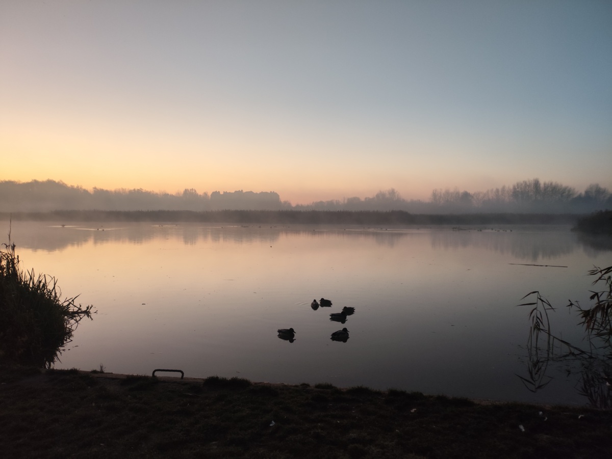 a90e28d5-1195-419f-8f73-5b5b7f9f9701