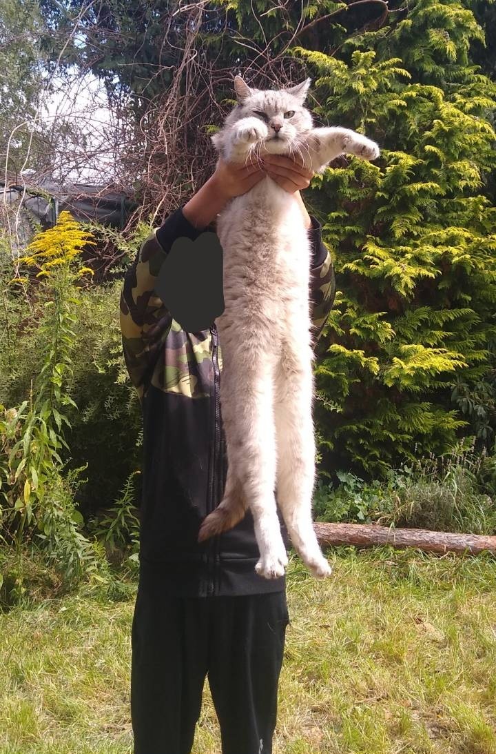 6cca7d1c-dba6-4998-8b06-27a2c9615e5d