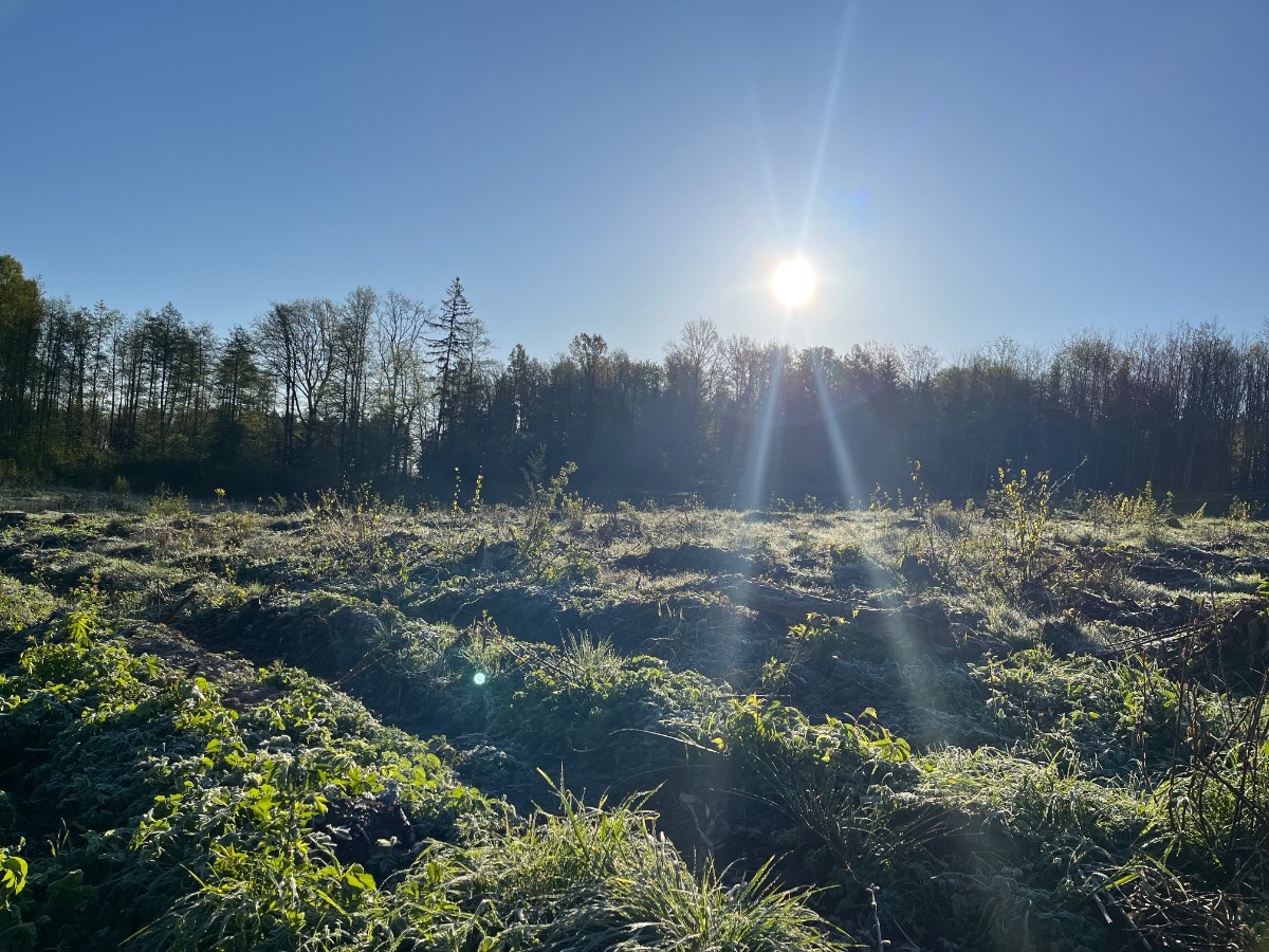 ad0202a9-e95c-4f4b-aa21-eca80ebfbe20