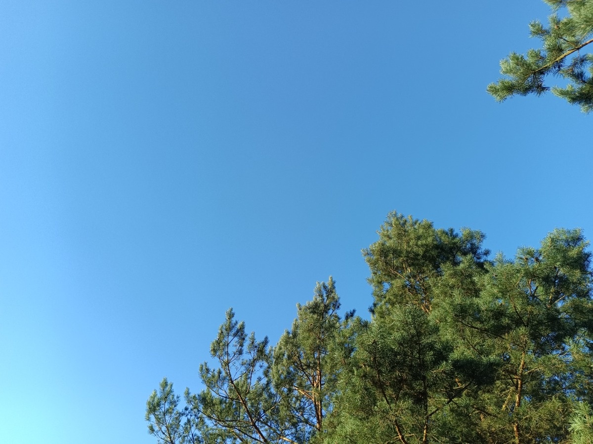 7da745e1-4f3d-474a-9900-1e92ac85bcae