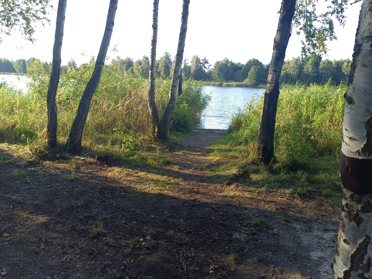 b63b71f0-c99e-4b96-8a58-e9a6b7200192