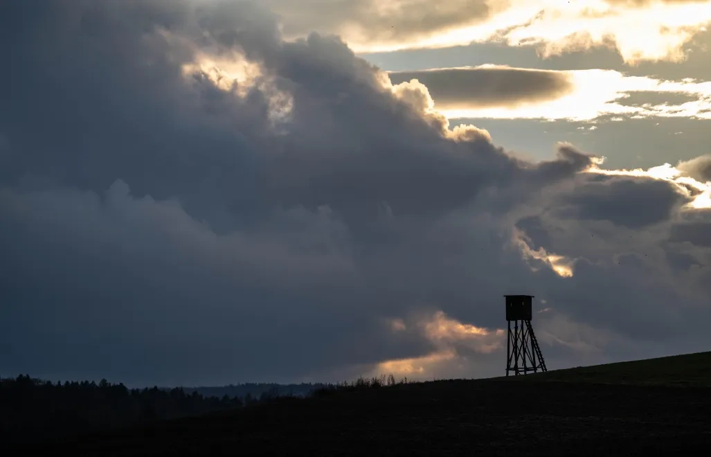 Polski Związek Łowiecki zapowiada obowiązek dla myśliwych