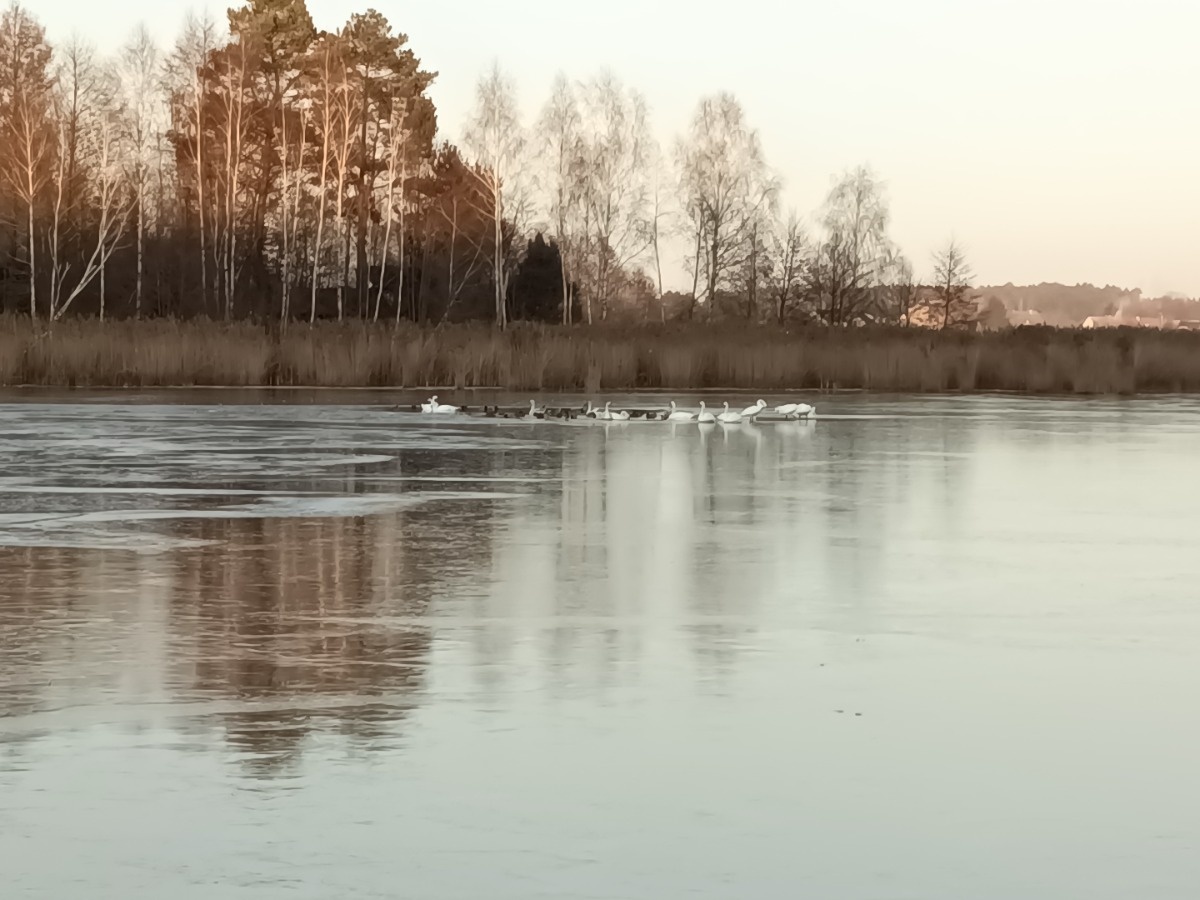 867b03d9-984a-4a5d-8b61-958feeada4b2