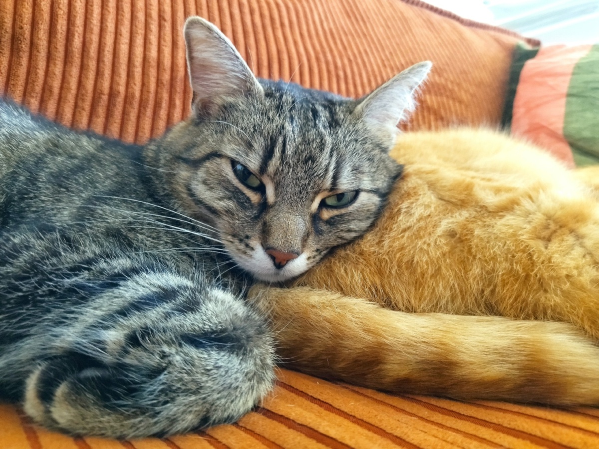 512553cc-23d4-4f95-a598-adbbd0bff21e