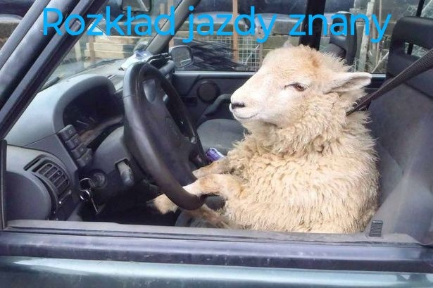 8b377500-47b8-494b-8e65-3be20aa79e5a