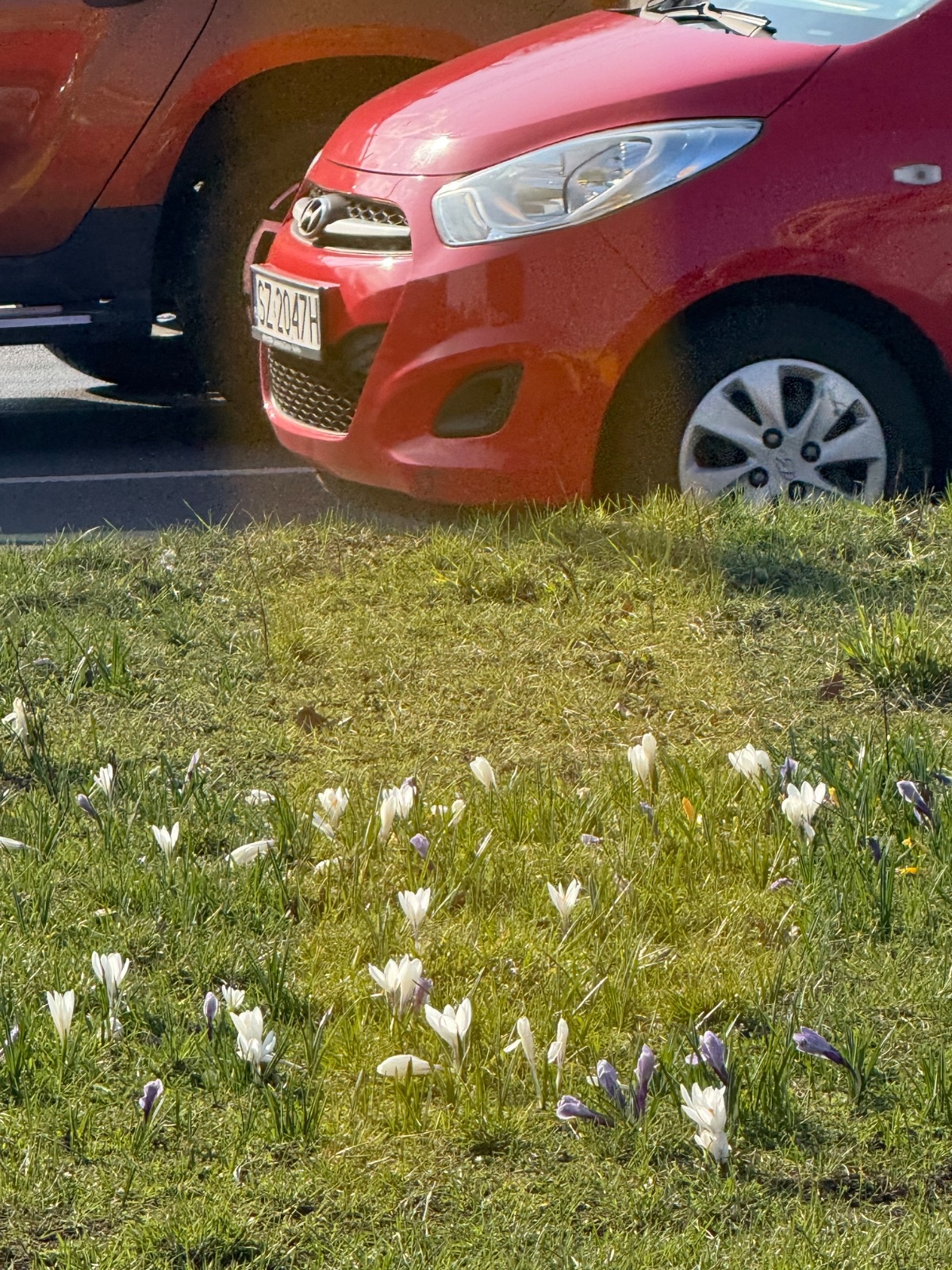 67b8178a-828f-4594-8516-52c0f6c616f3