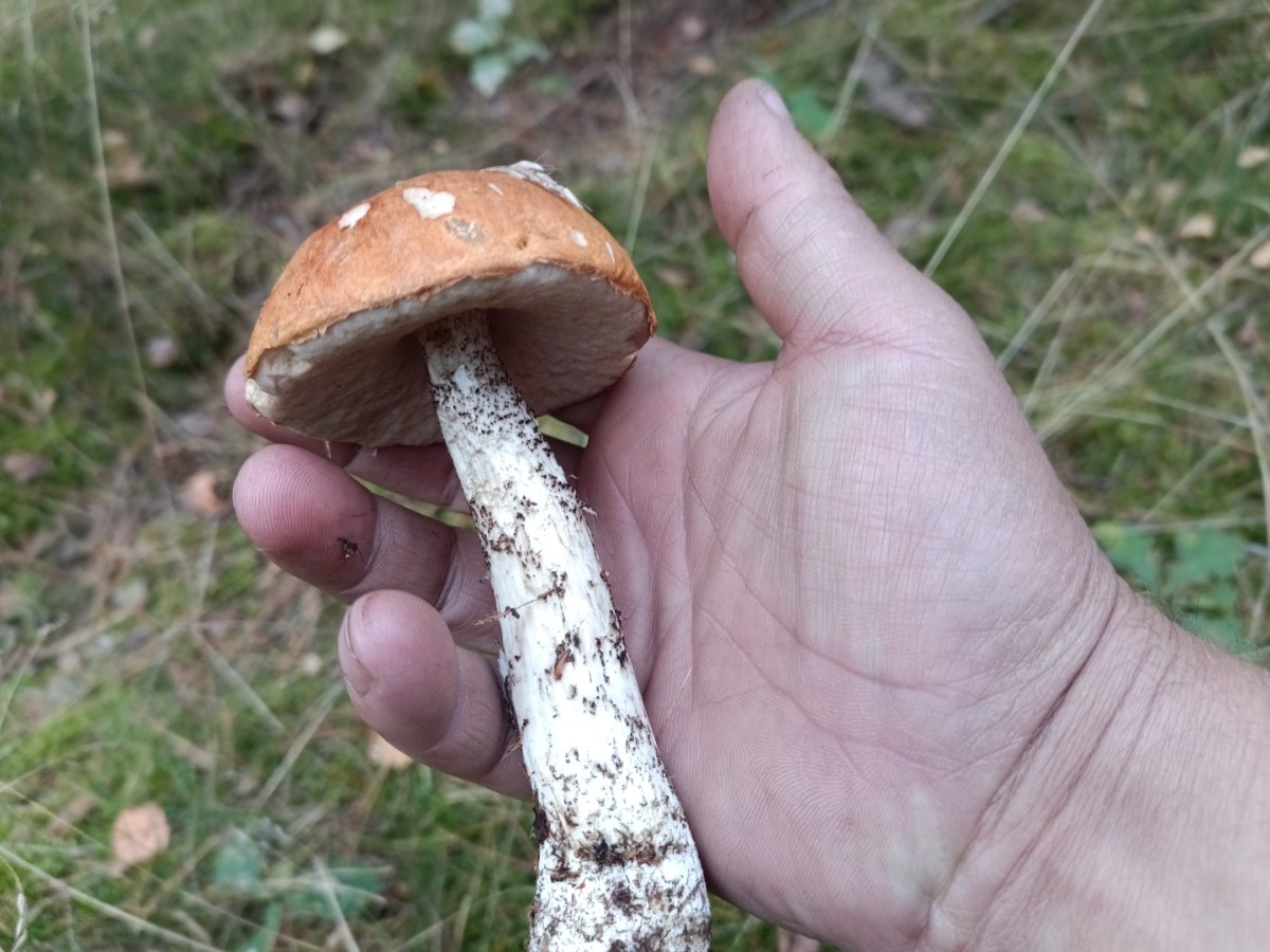 fa2bbd66-4c2a-4aee-ab68-498131c2521d