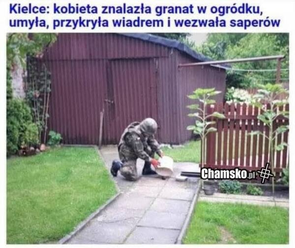 8164d96b-5a85-438e-8bd7-61503807c4cd