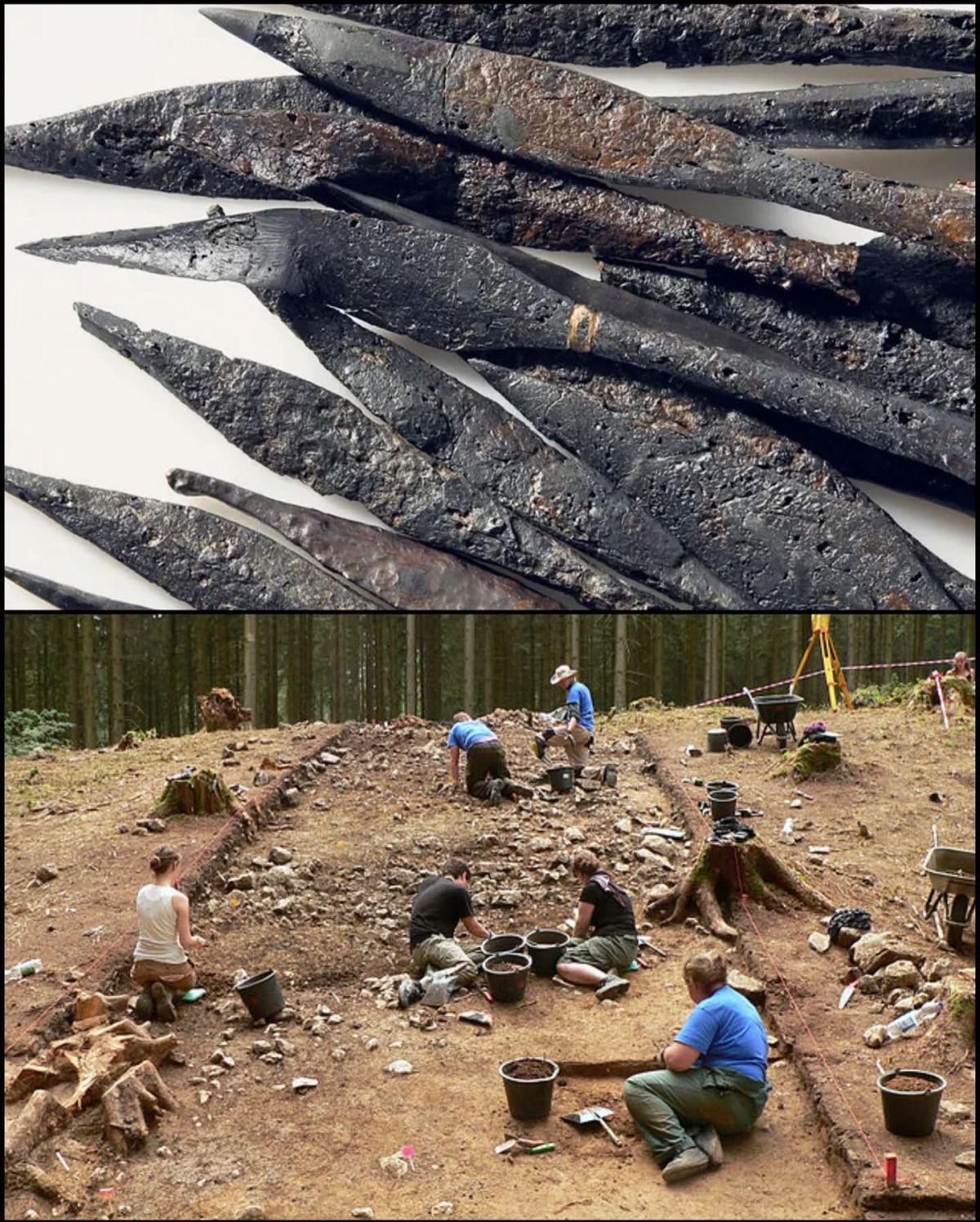 5a9100f5-d061-4bfd-ab1d-3eb6195bec58