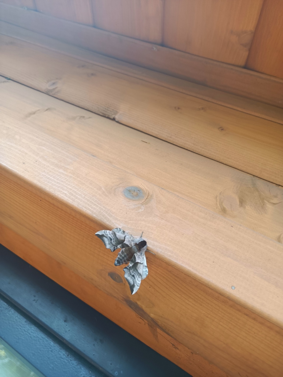 26ccbdd0-b020-46b4-a35c-94f4c01593ba