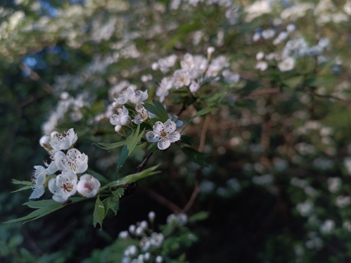 9e56e0fe-3a47-440f-a7aa-8532bbbe58bd