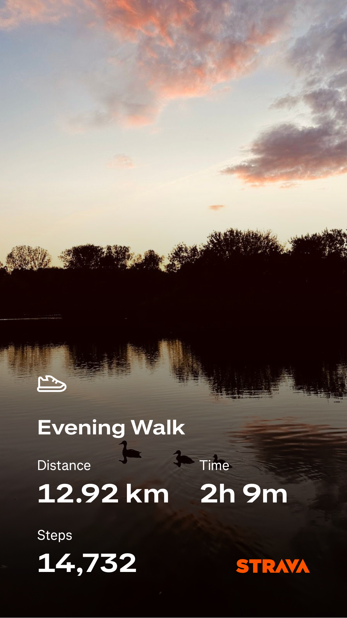 cddc4450-4d4f-4be9-84d9-4b66493754c5