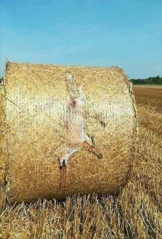 fba21347-732c-4ce1-a9f4-880894db8808