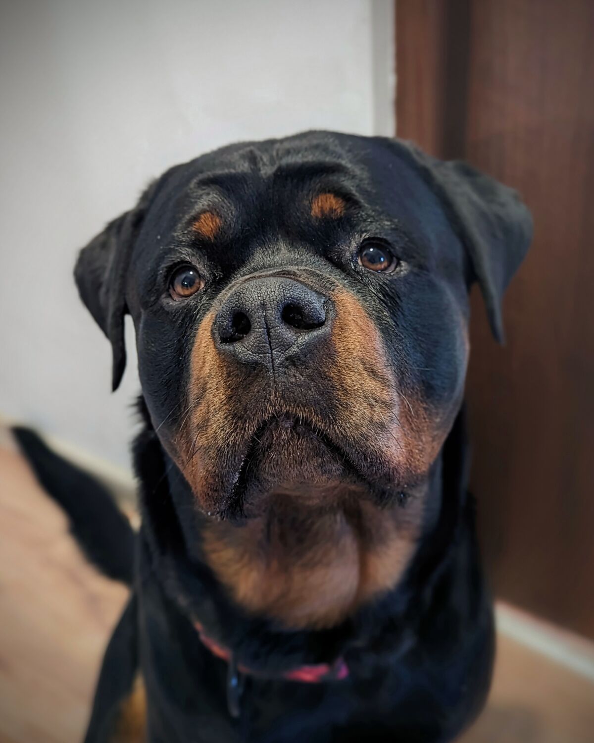 444f068a-a277-4eb9-9a71-8c9248fd102a