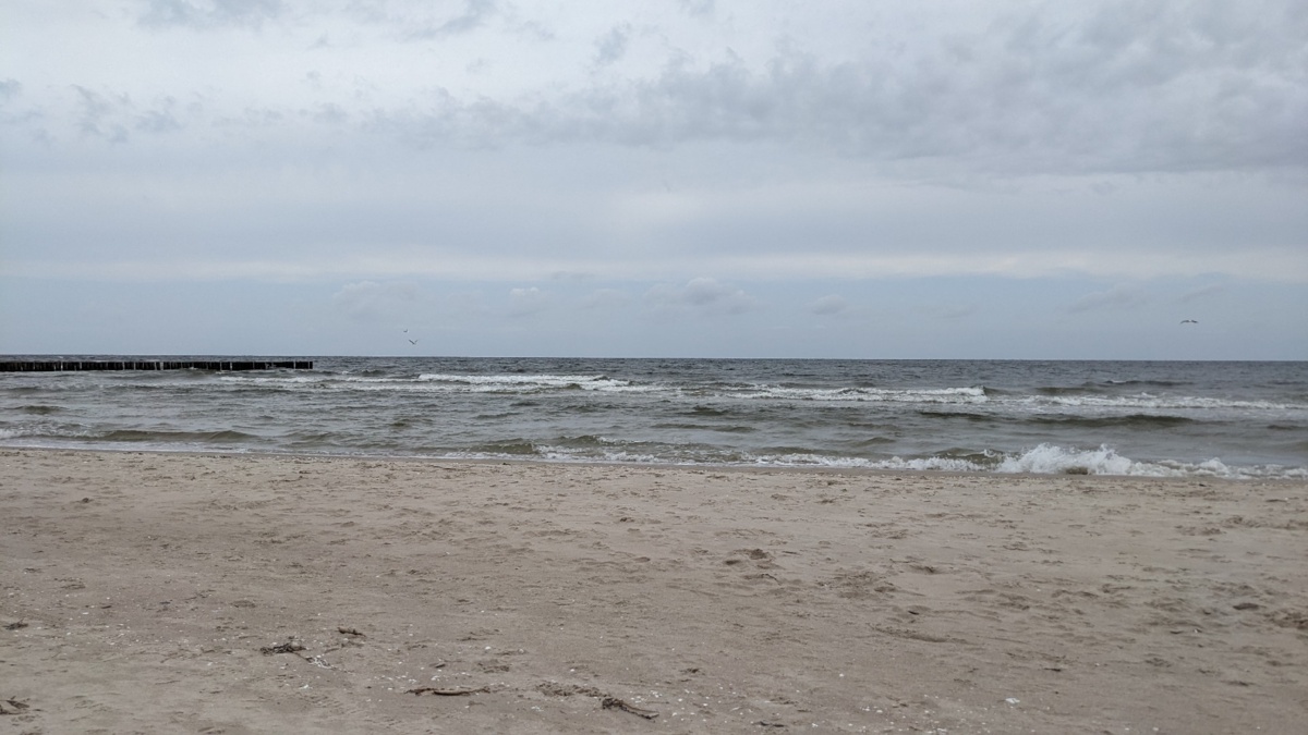 ed6414f3-b4c1-4040-9b04-31cd16bb6101