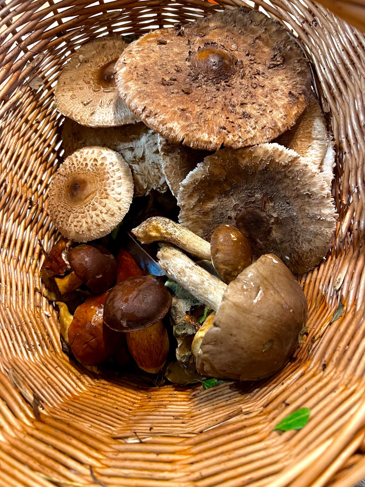 74f02463-2949-4fcd-adfb-cf9fa70c284e