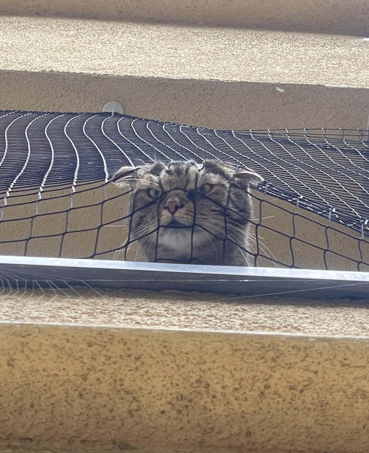 5ad6ab90-1467-4a90-ba4a-922c39f95922