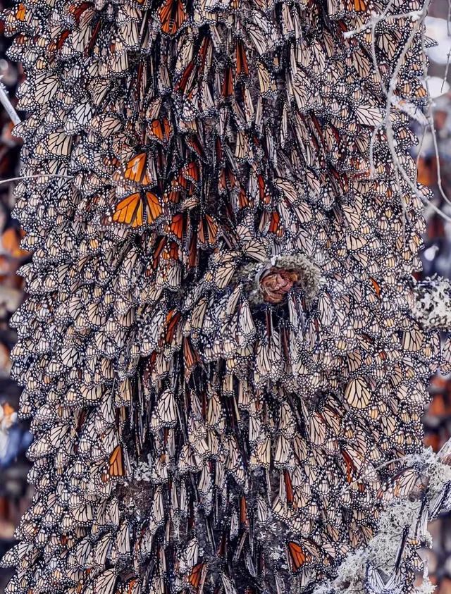 708fe343-4d11-4038-b985-5c658d3fa7a2