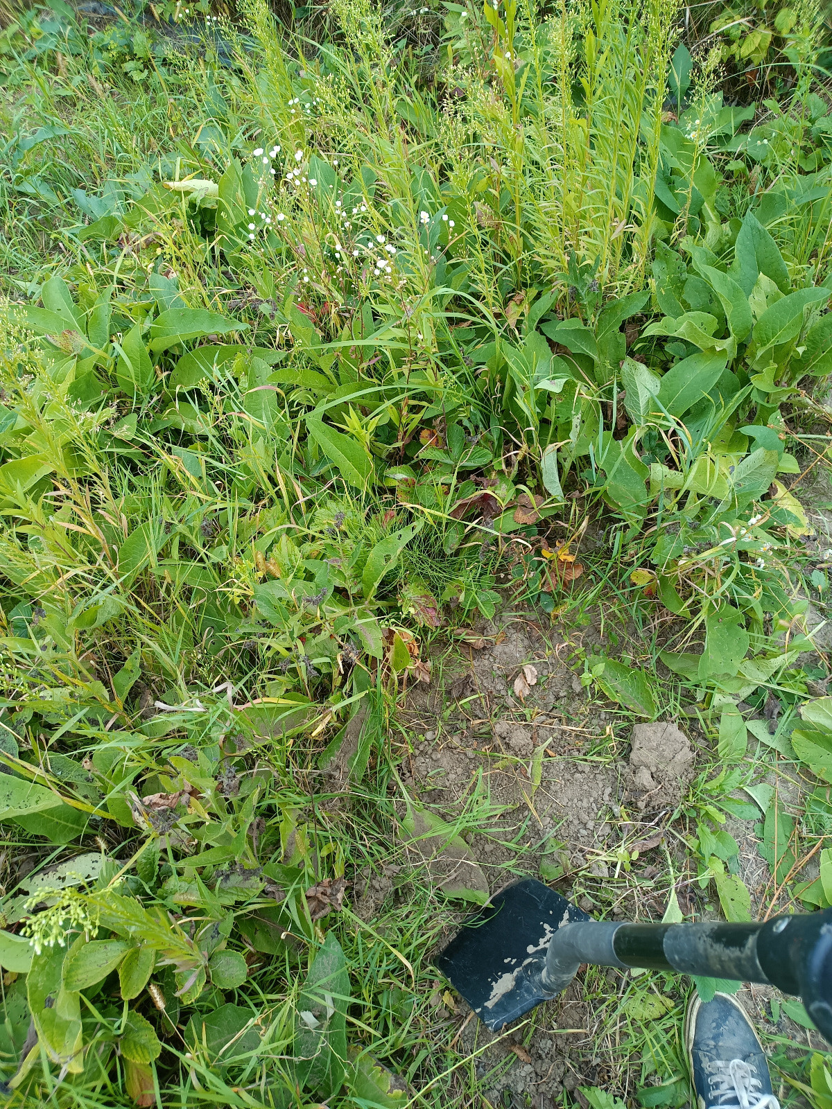 fd4877d7-b1ec-4256-81c0-176a53568ea0